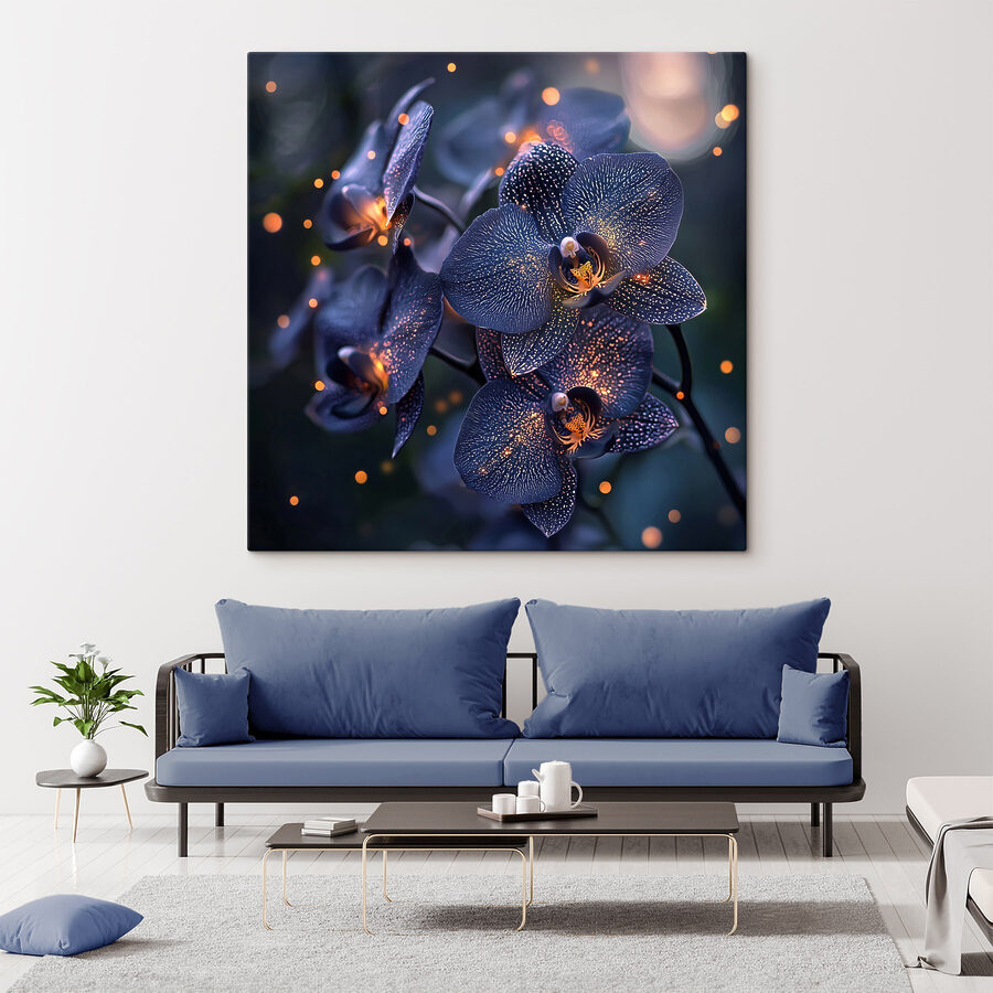 Elegáns orchideák lágy környezetben
