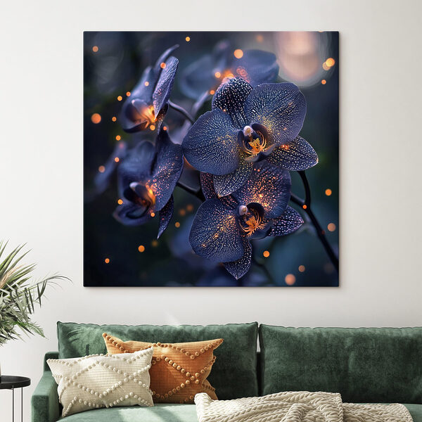 Elegáns orchideák lágy környezetben Elegáns orchideák lágy környezetben
