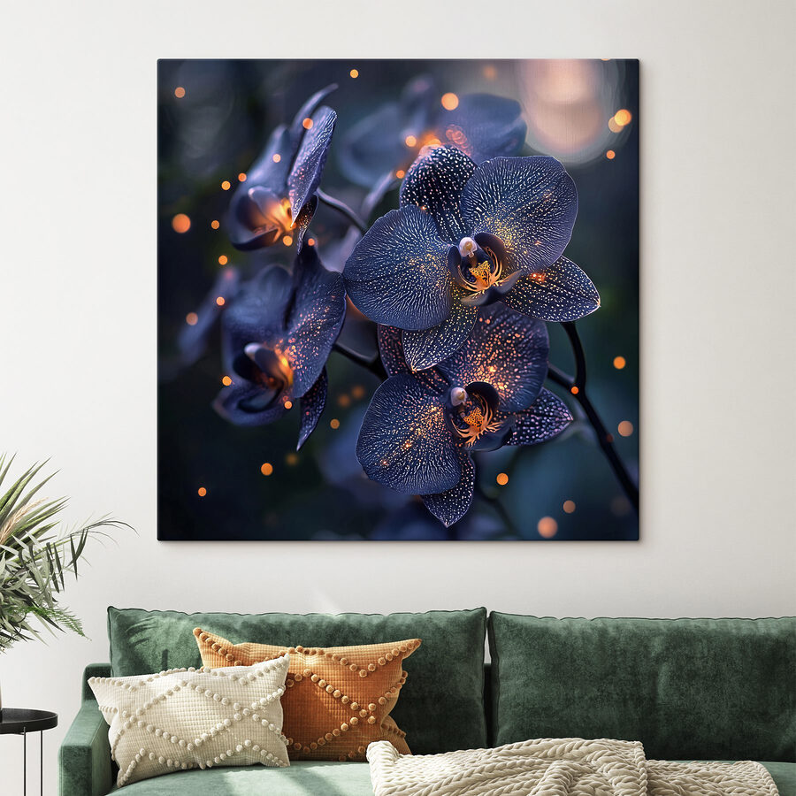 Elegáns orchideák lágy környezetben