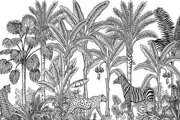 Zebra és gepárd a dzsungelben Zebra és gepárd a dzsungelben