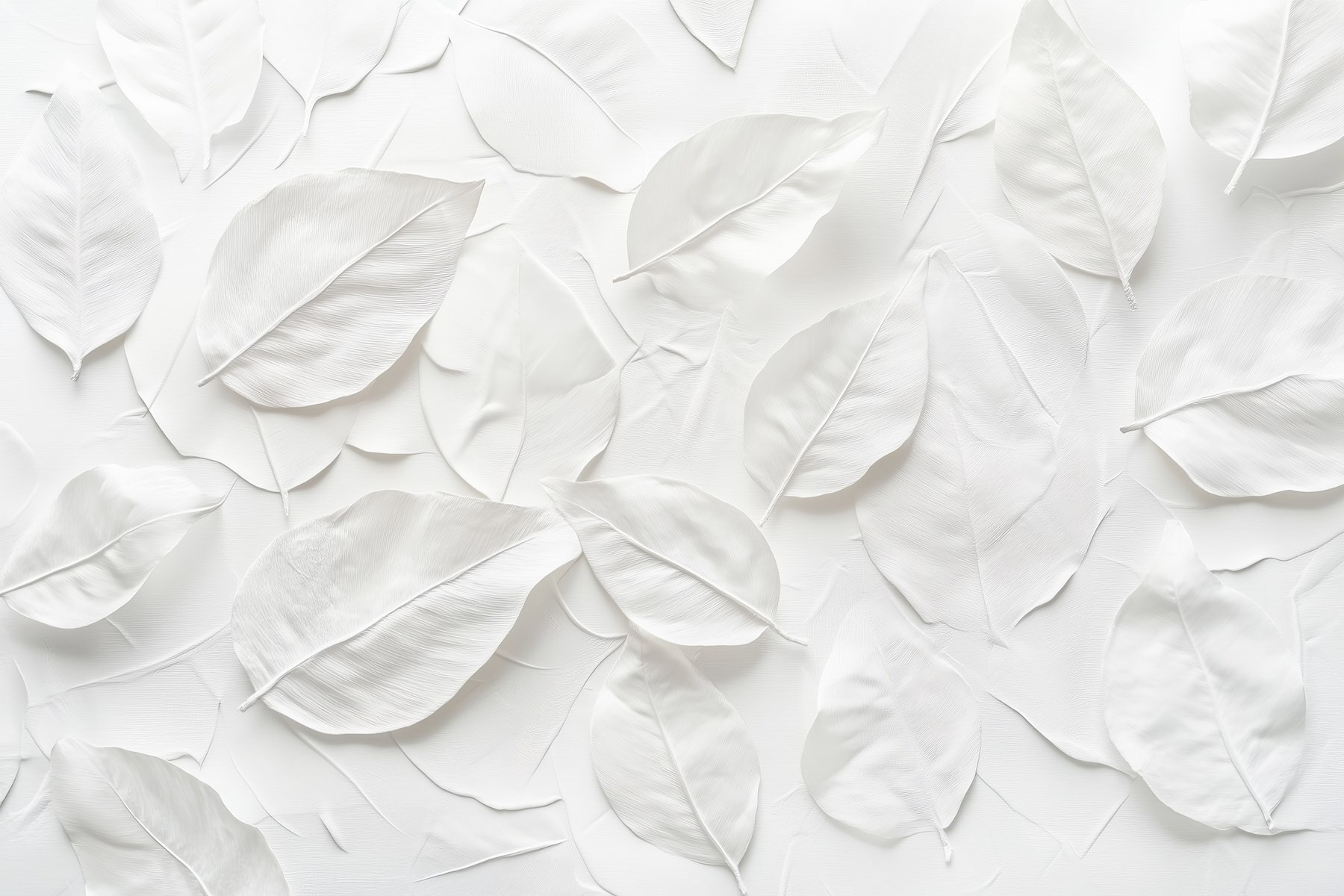 Group of white leaves Group of white leaves