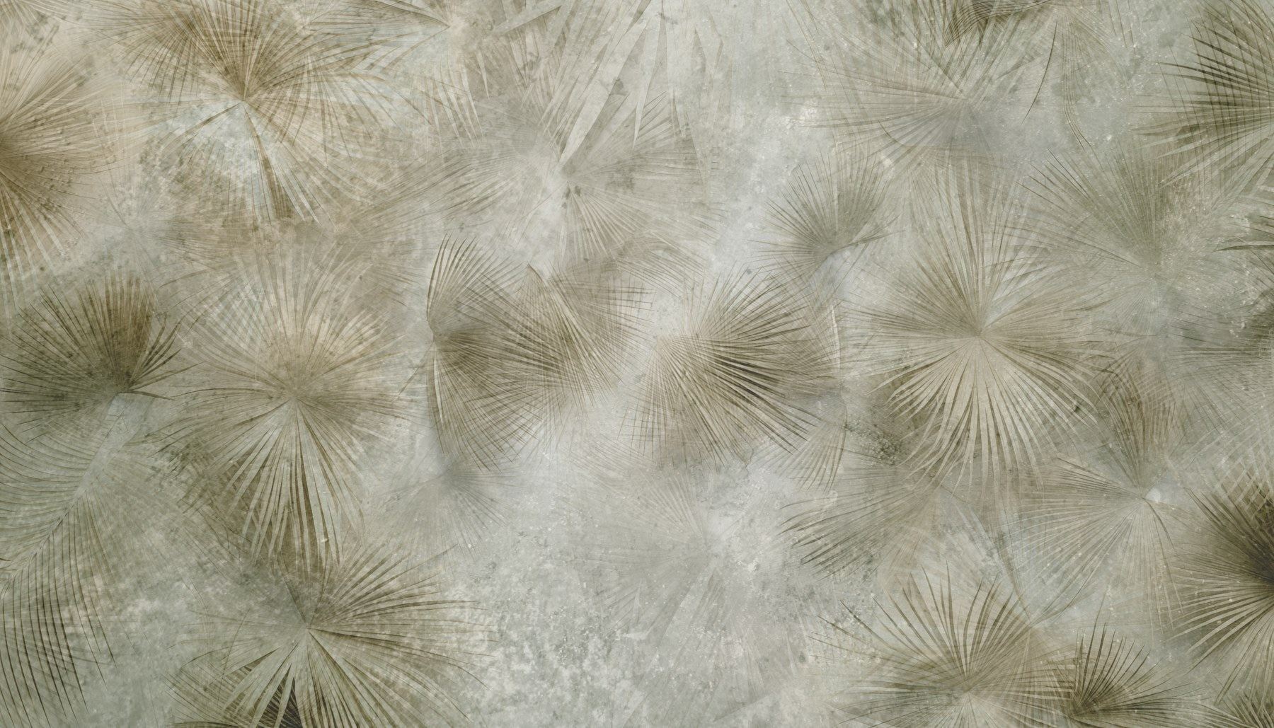 Nature's patterns in soft colors Nature's patterns in soft colors