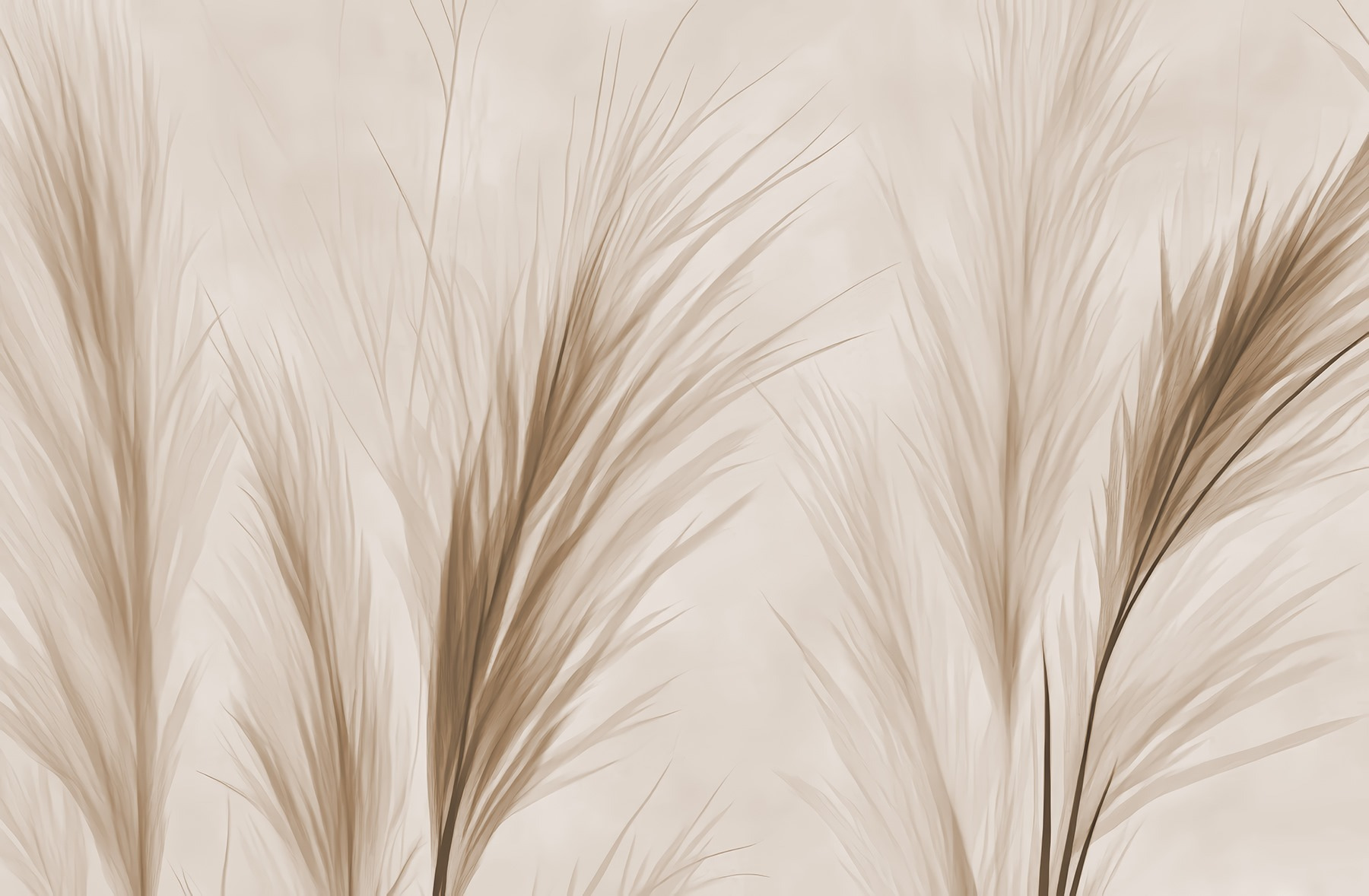 Delicate grass against a soft background