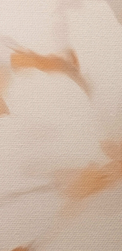 Delicate blossoms in soft hues