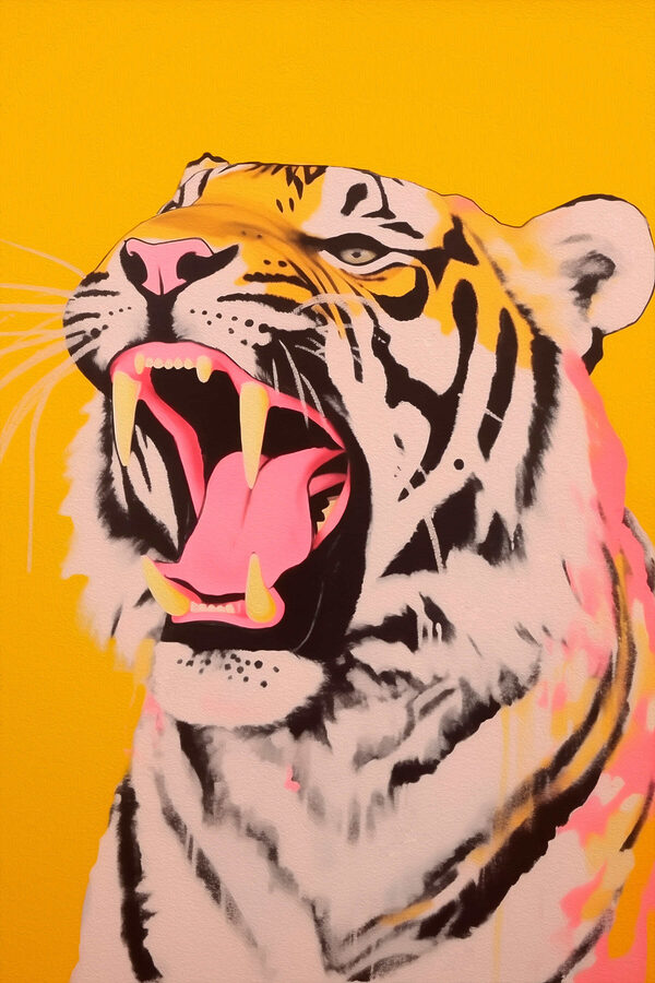 Tigris nyitott szájjal Tigris nyitott szájjal