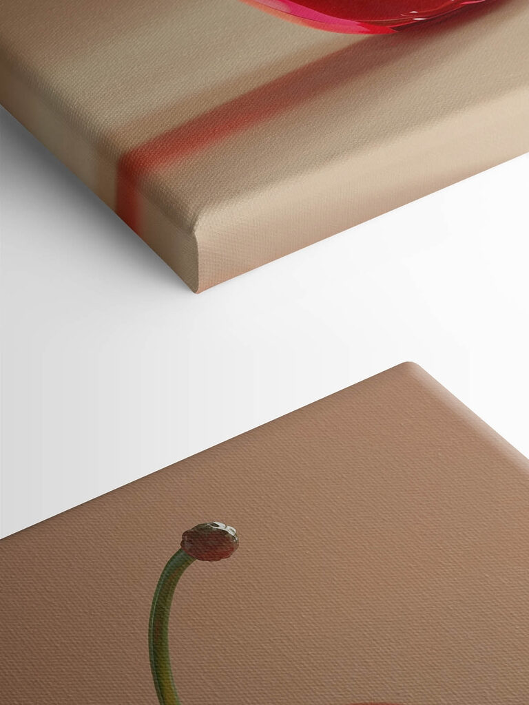 Red cherry with a stem