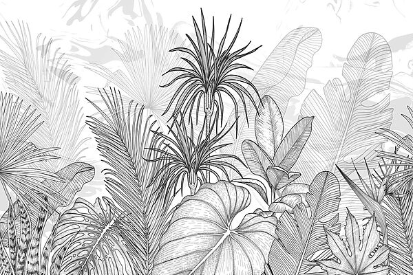 Black and white drawing of plants