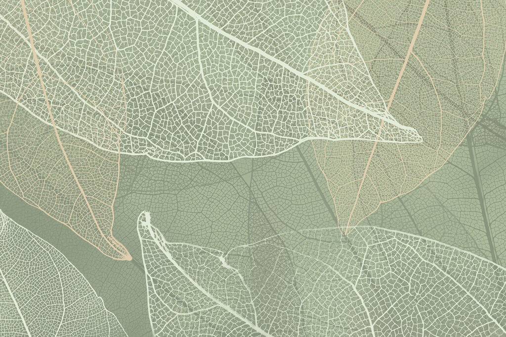 A természet finom mintái’s design A természet finom mintái’s design