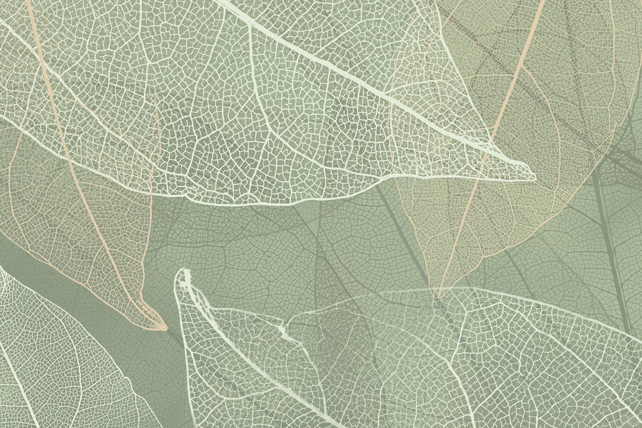 A természet finom mintái’s design