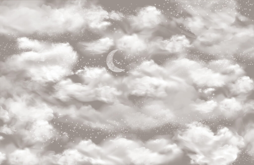 Moon in the sky