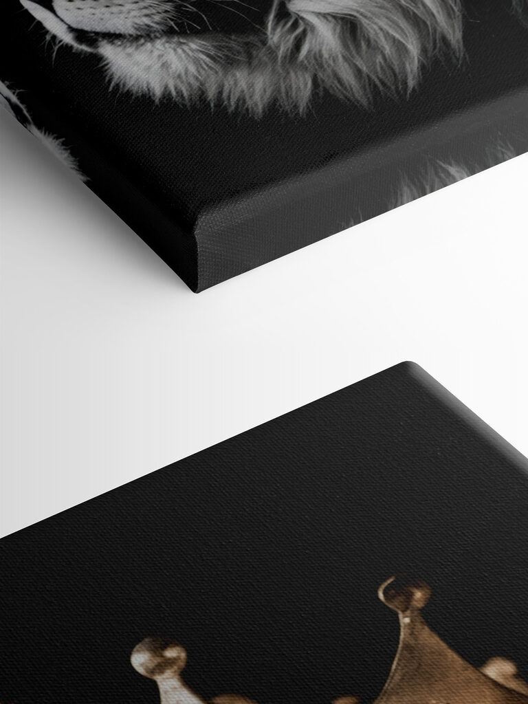 Lion wearing a crown Lion wearing a crown