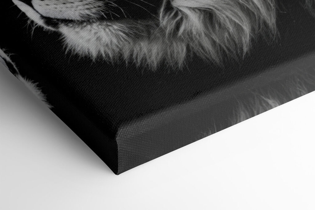 Lion wearing a crown Lion wearing a crown