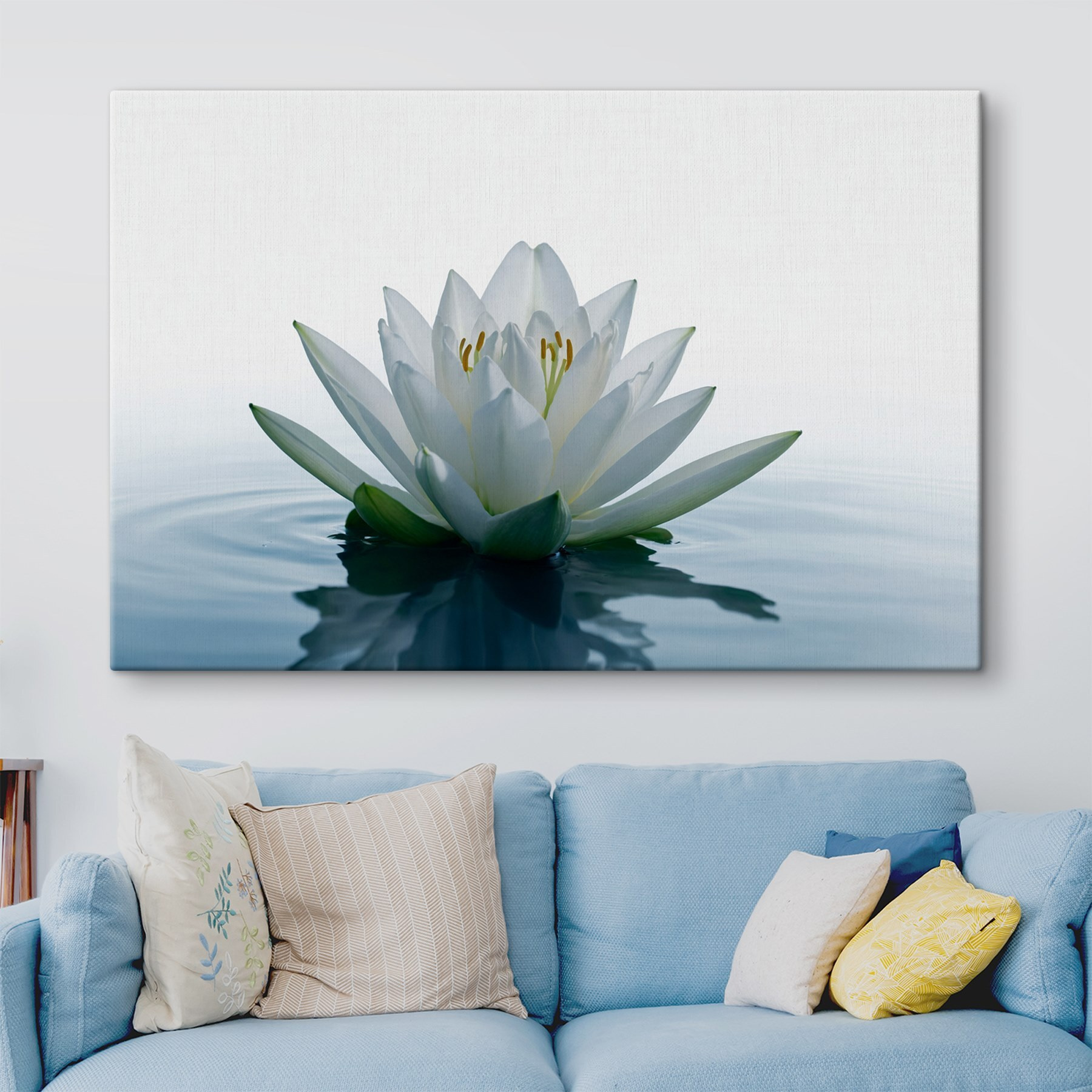 White flower in water
