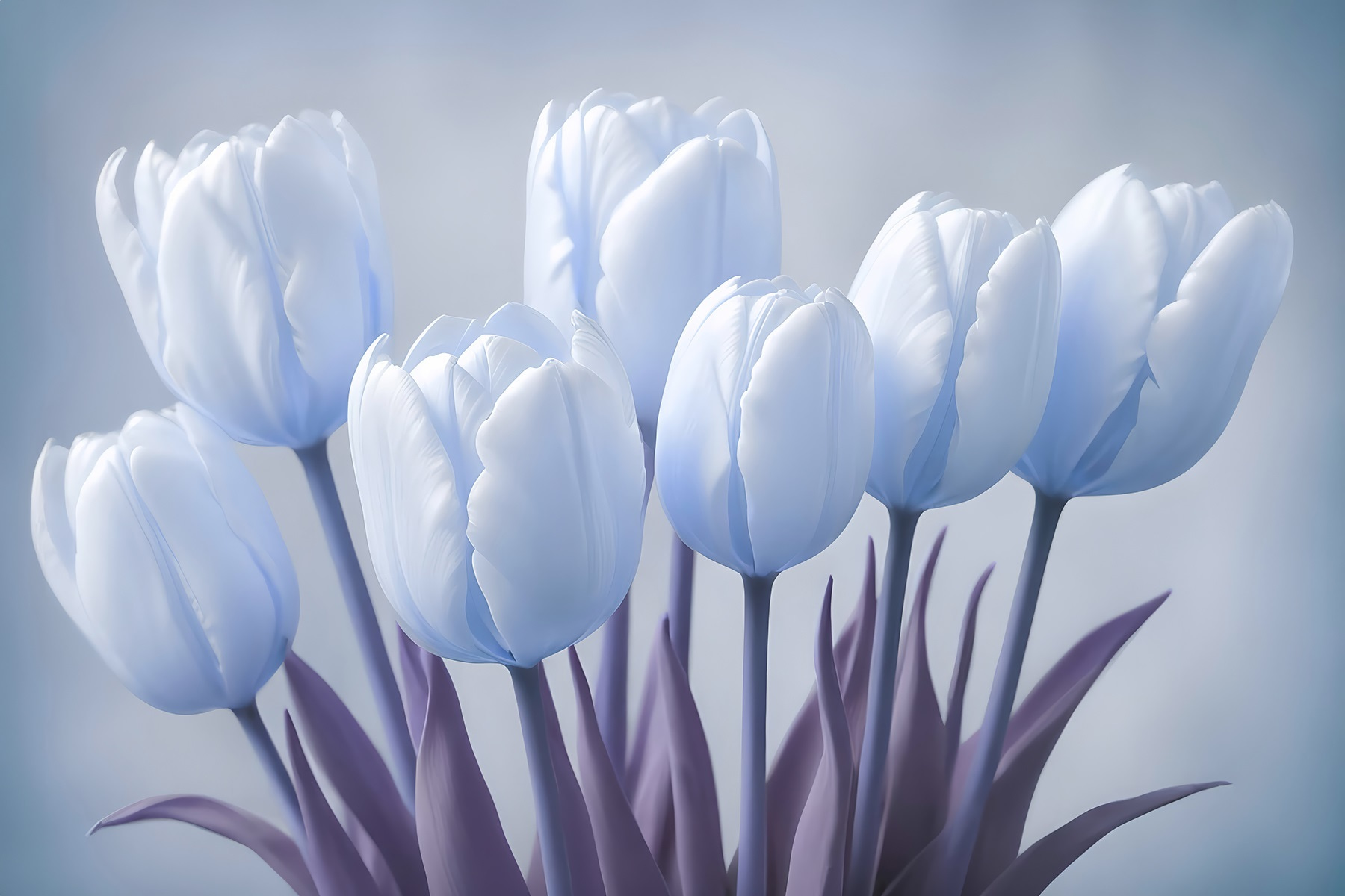 Group of white tulips