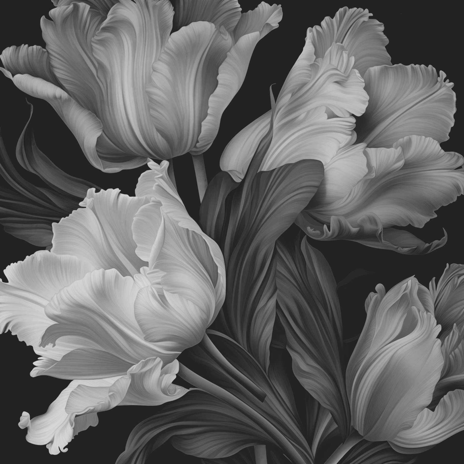 Delicate petals in monochrome tones Delicate petals in monochrome tones
