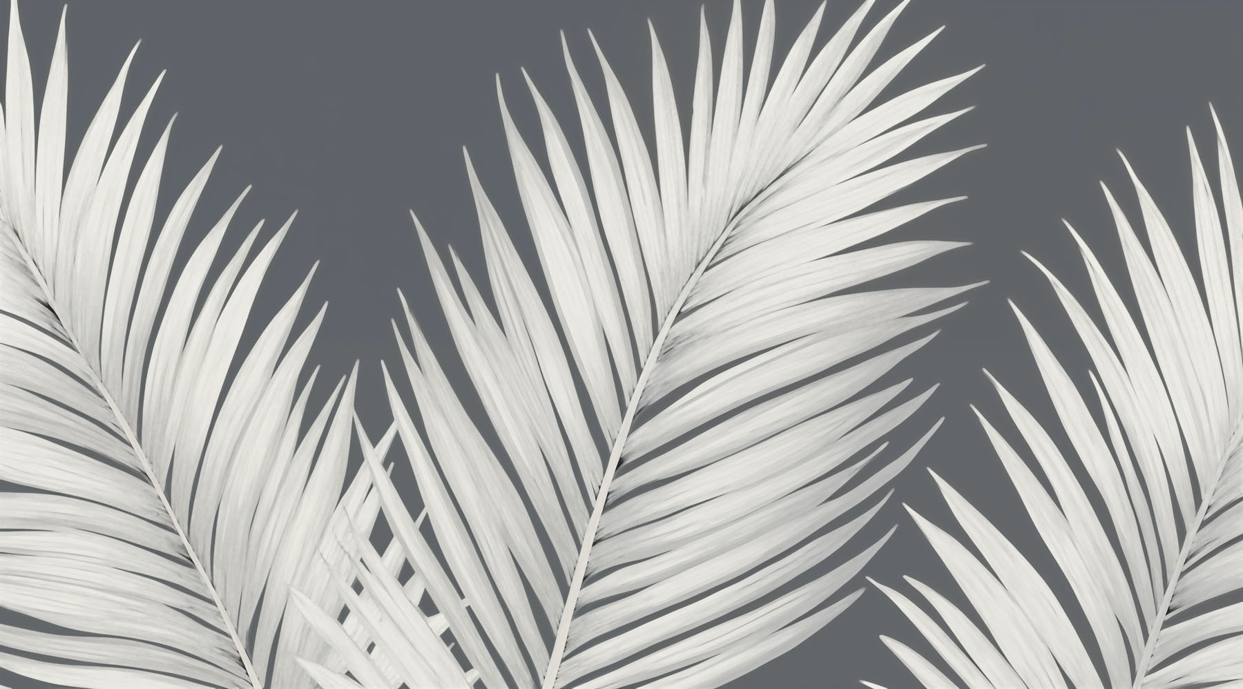 Delicate leaves against a muted backdrop