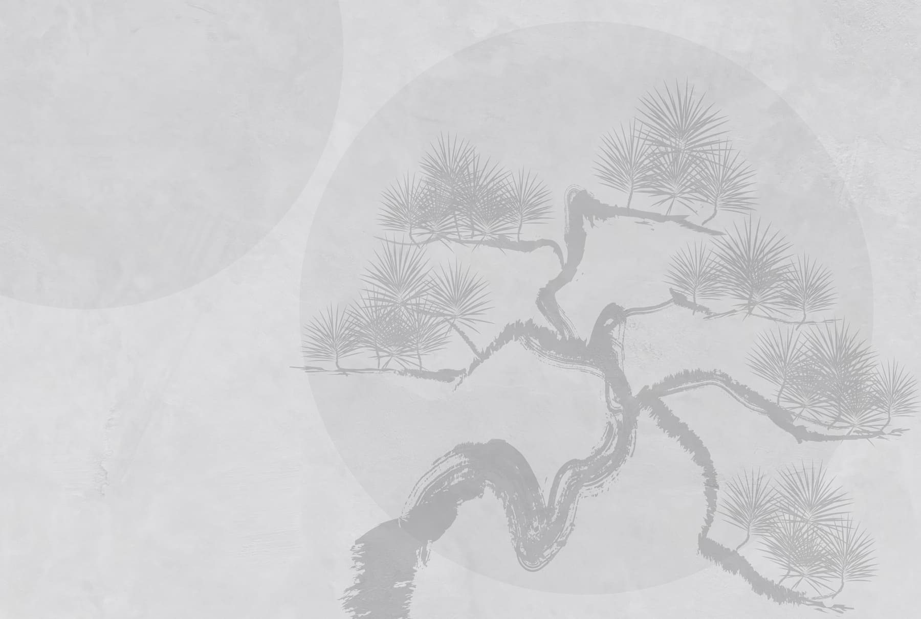 White background with a tree