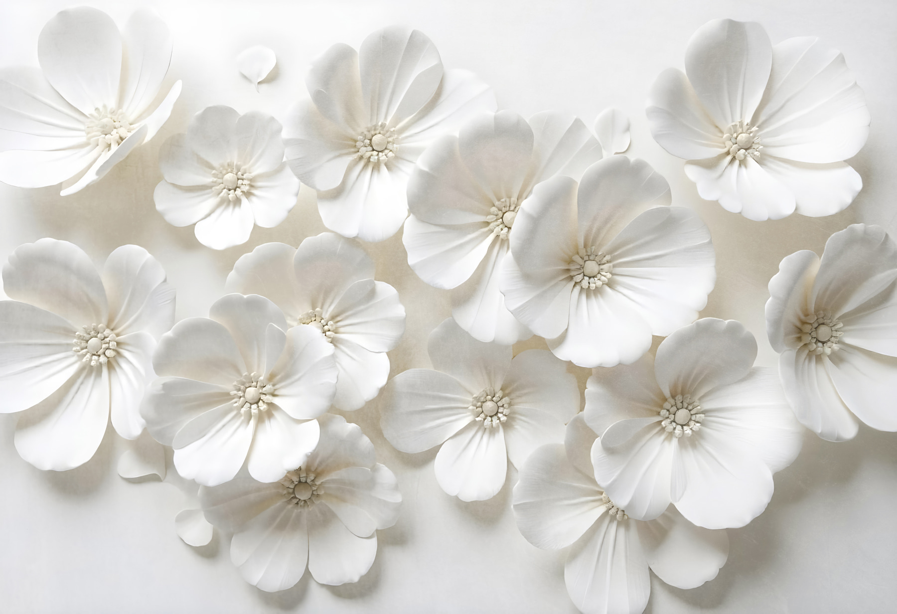 Group of white flowers