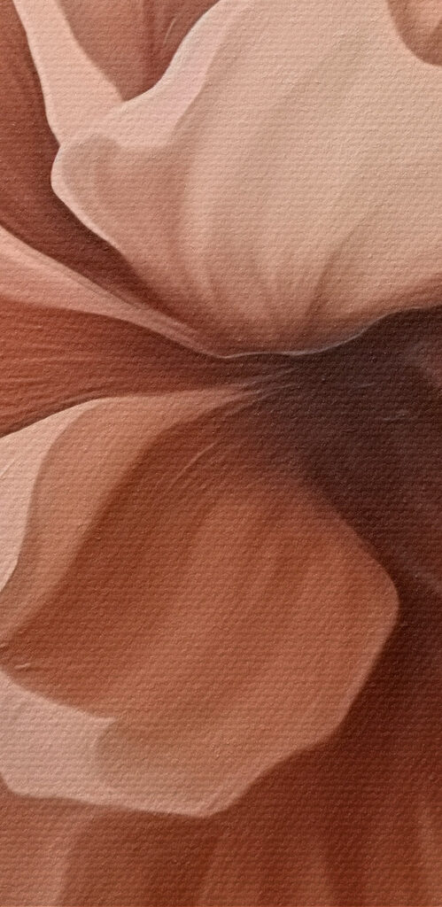 Delicate bloom in soft tones