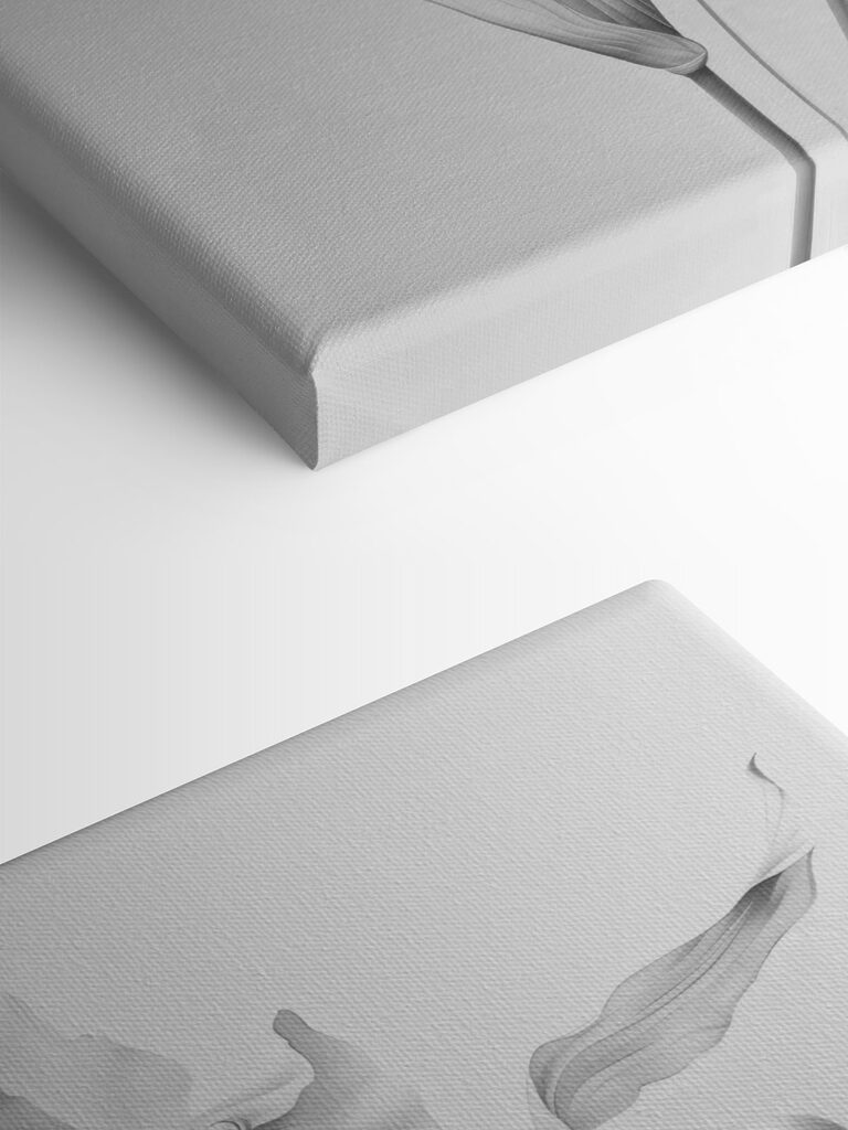 Delicate petals in soft monochrome hues Delicate petals in soft monochrome hues