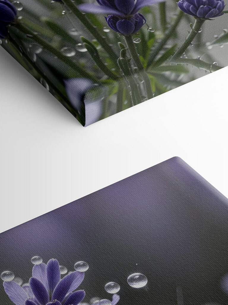 Delicate petals adorned with droplets