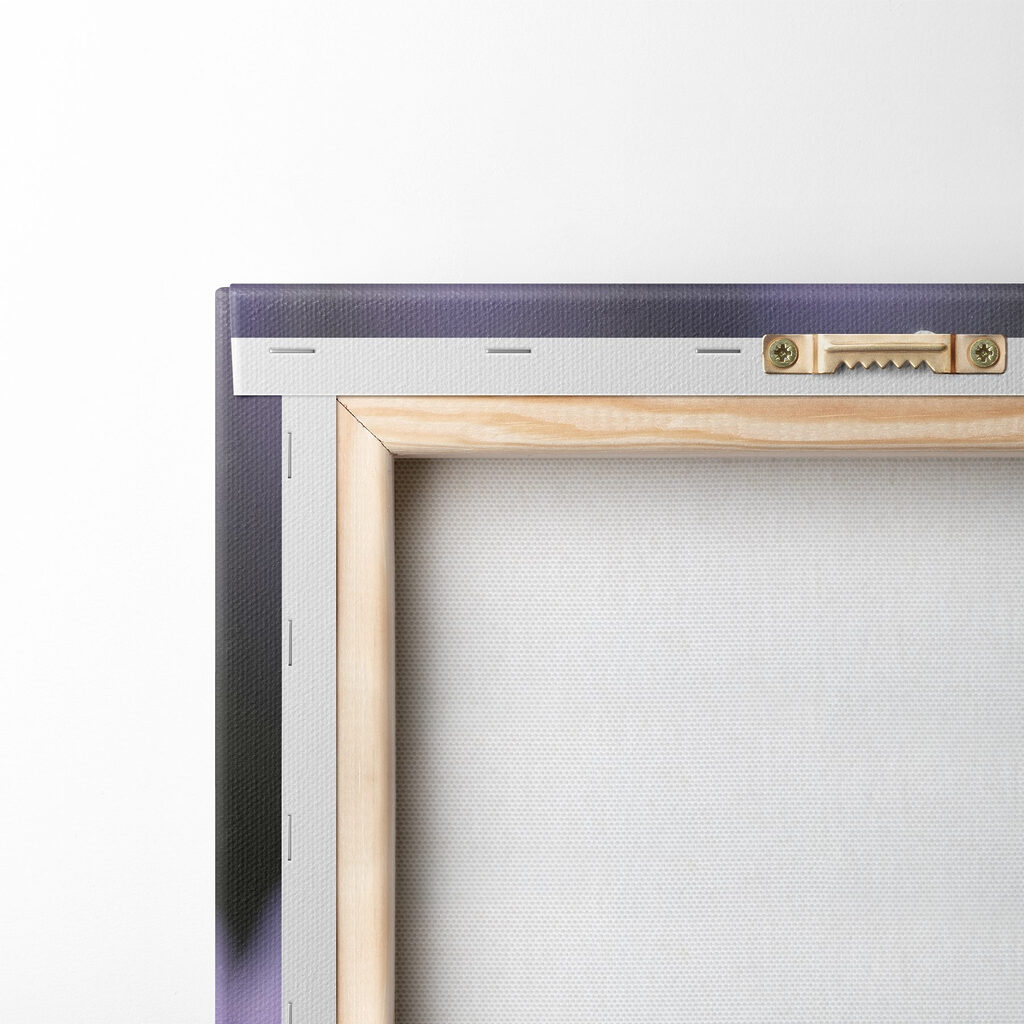 Delicate petals adorned with droplets