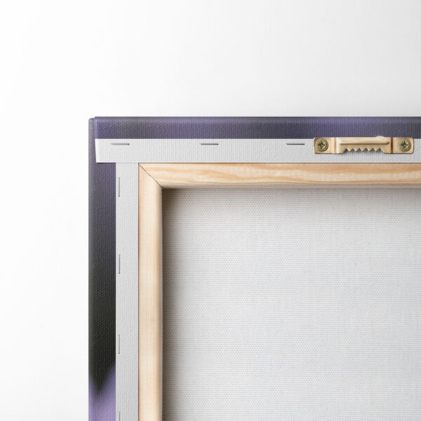 Delicate petals adorned with droplets