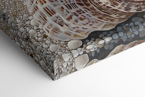 Seashells on a beach