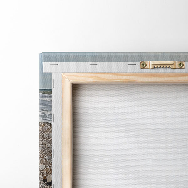 Seashells on a beach