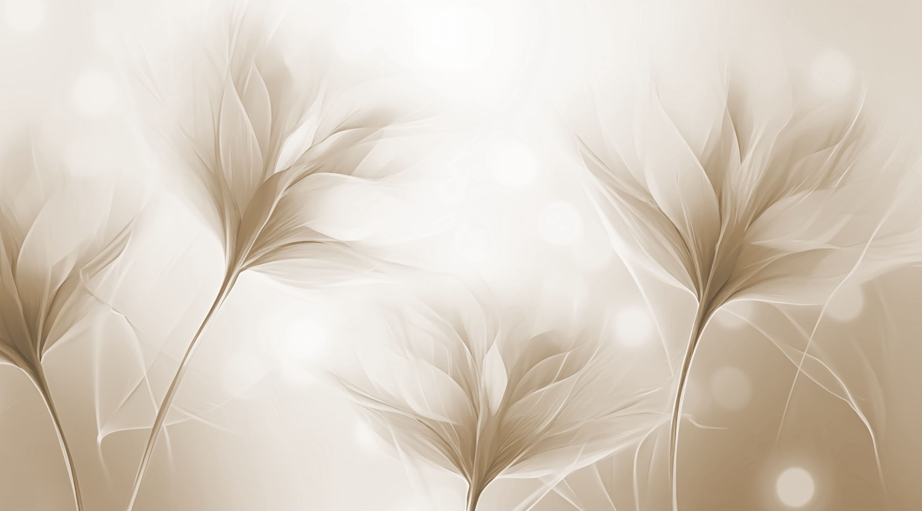 Delicate petals in soft tones Delicate petals in soft tones