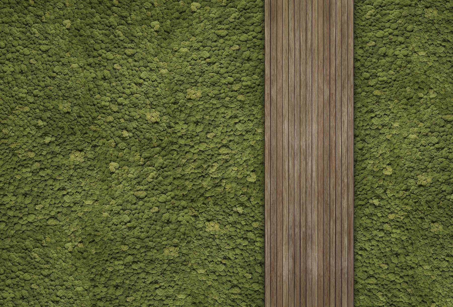 Wood plank on a green carpet
