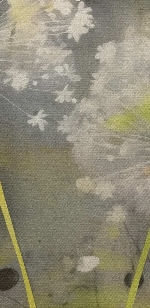 Delicate white flowers in soft hues