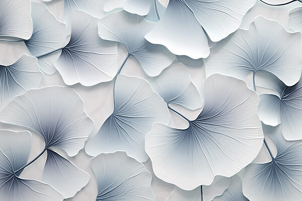 Ginkgo levelek finom rétegei Ginkgo levelek finom rétegei