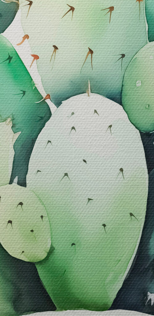 Watercolor of a cactus Watercolor of a cactus