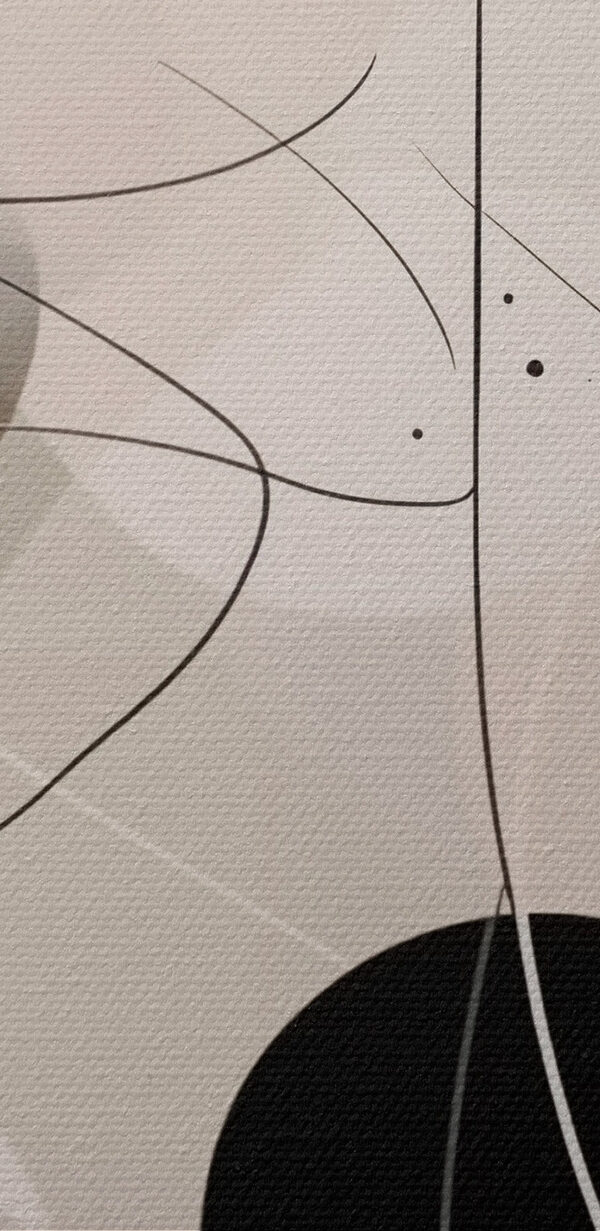 Fekete-fehér körök és vonalak Fekete-fehér körök és vonalak