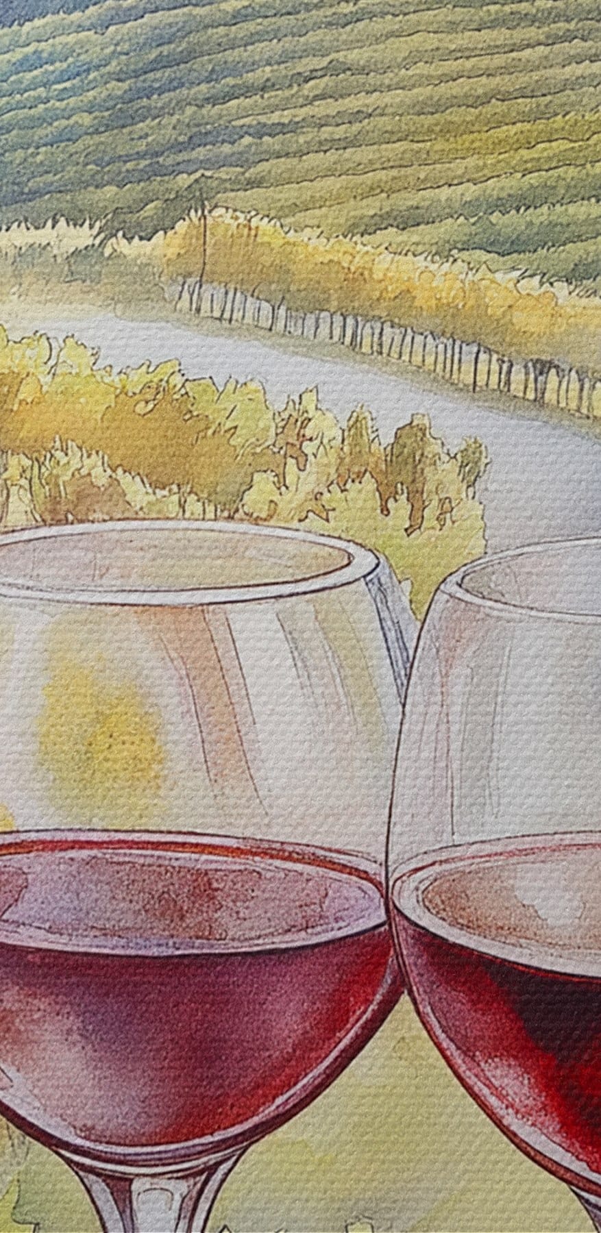 Akvarell festmény borospohár és szőlő