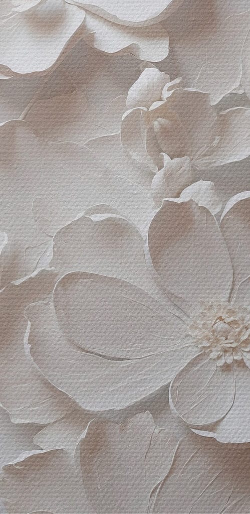 White flower on a white surface White flower on a white surface