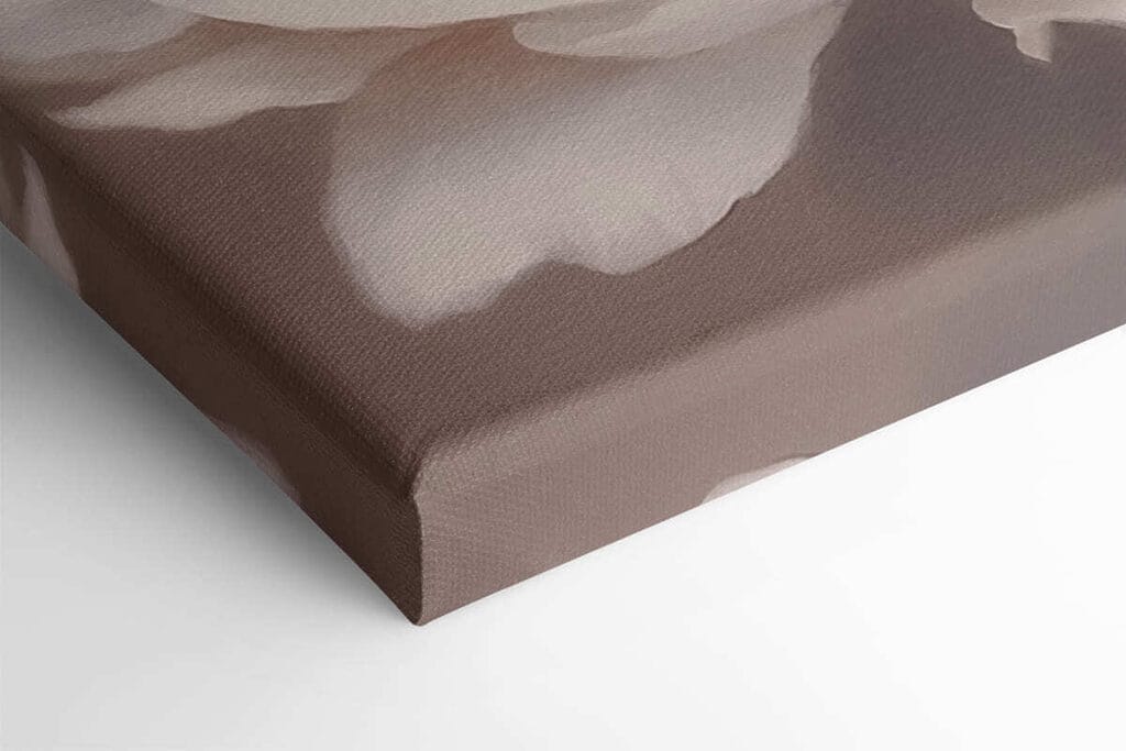 Delicate petals in soft hues