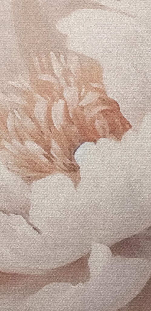 Delicate petals in soft hues