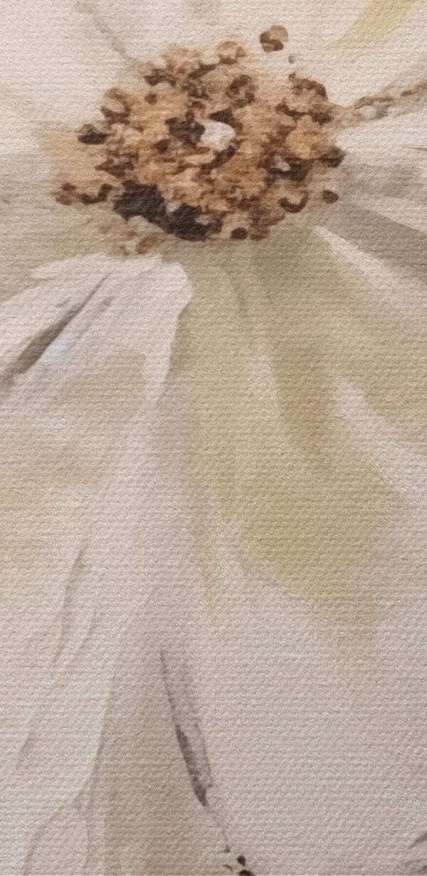 Fehér virág barna középpel Fehér virág barna középpel