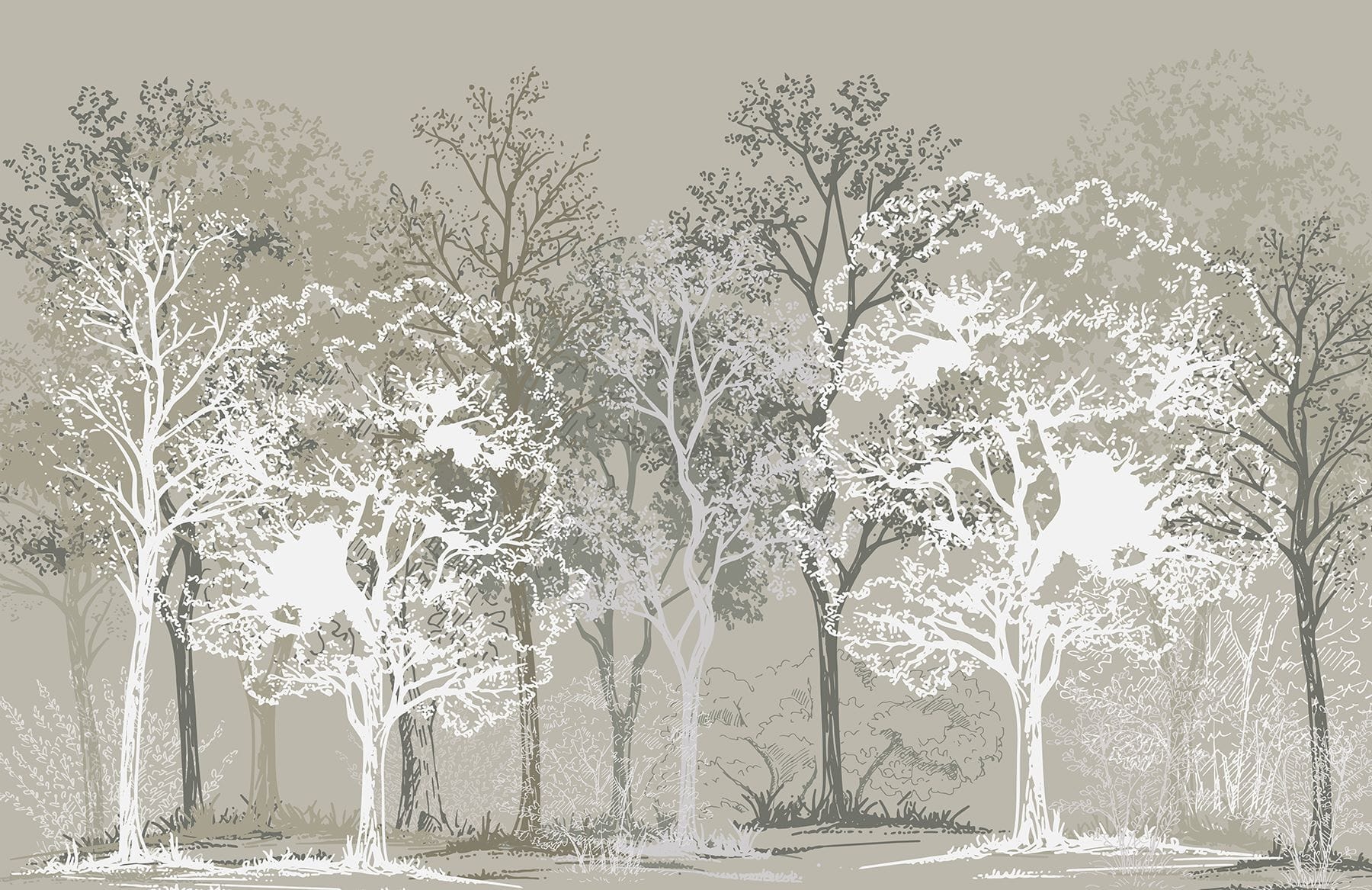 Group of trees in a forest