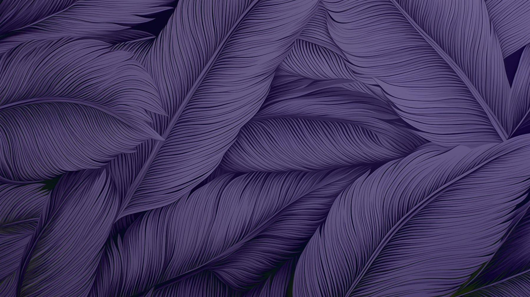 Lush leaves in deep purple hues