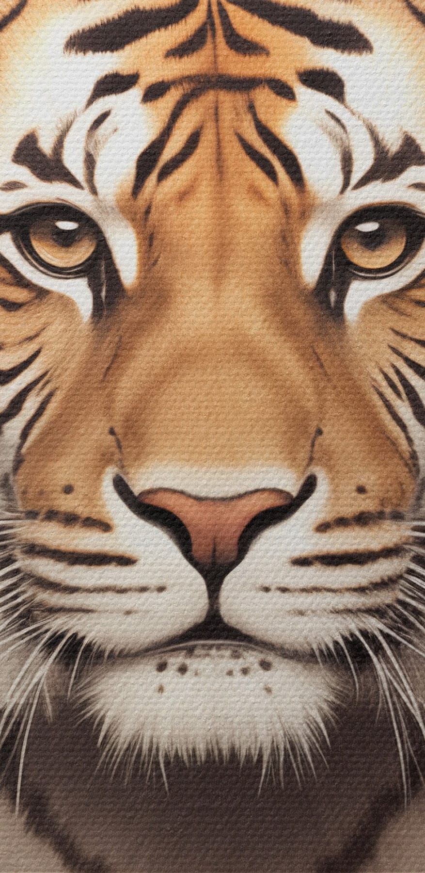Tigris koronával