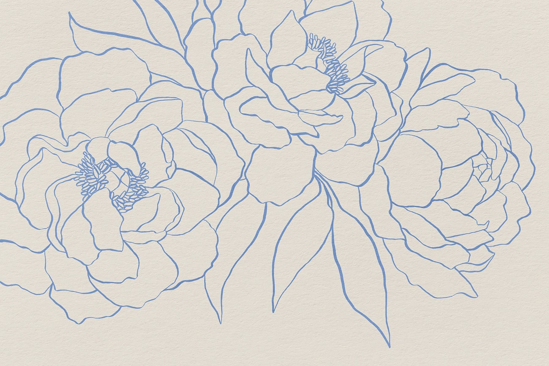 Drawing of flowers on a white surface Drawing of flowers on a white surface