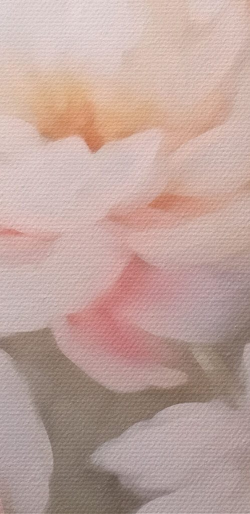 Blurry image of flowers
