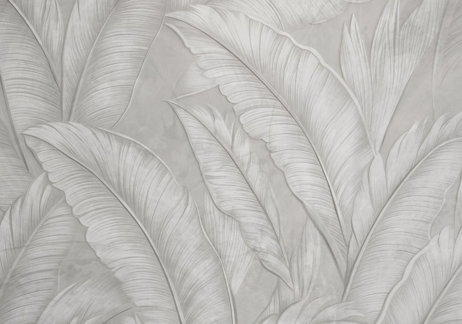 White wallpaper with feathers