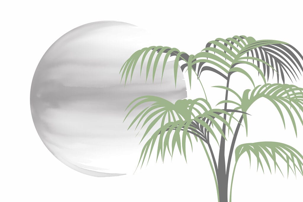 Palm tree and a round white sphere