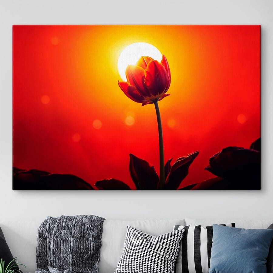 Piros tulipán a napfénnyel mögötte