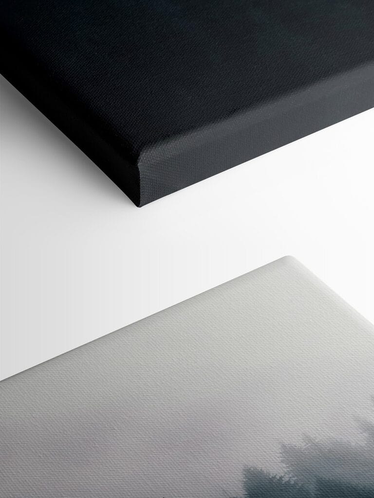 Foggy forest with trees