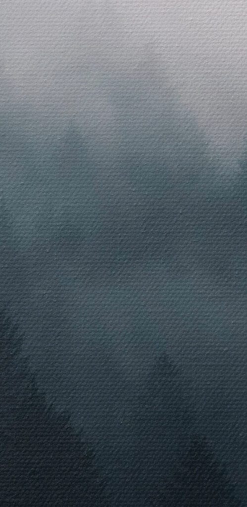 Foggy forest with trees